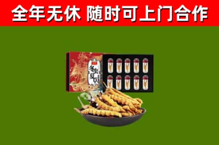 应县烟酒回收冬虫夏草礼盒.jpg